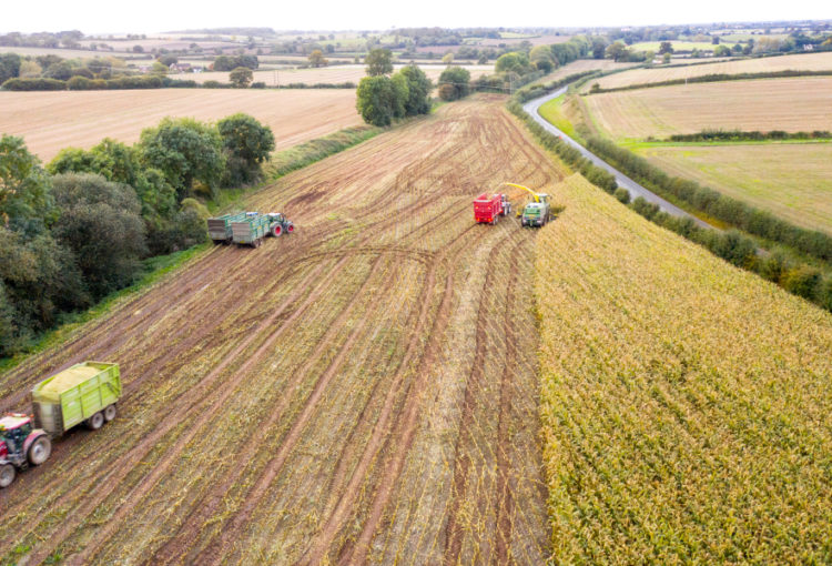 Agriculture, landscape management