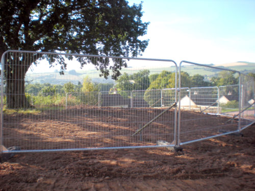 Tree protected by fencing